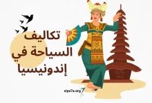 مميزات السياحة في إندونيسيا 2024 للعوائل والشباب، تكاليف السفر إلى إندونيسيا