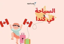 متطلبات فيزا كندا سياحة 2024، زائد نسبة قبول فيزا كندا سياحة 2024